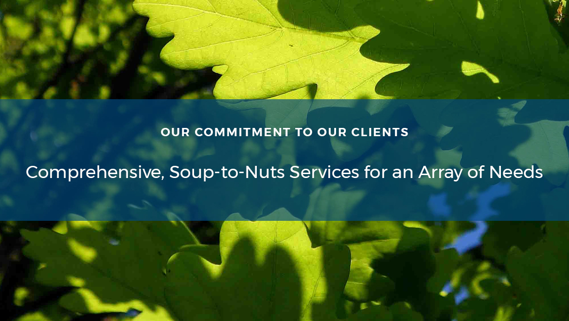Comprehensive, Soup-to-Nuts Services for an Array of Needs